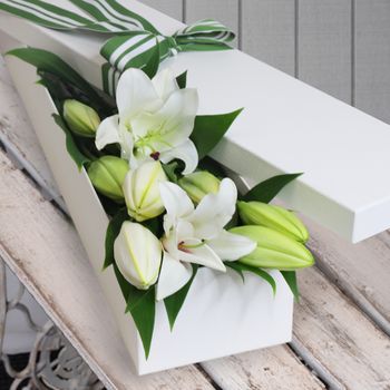 5 Elegant White Oriental Lilies Flowers