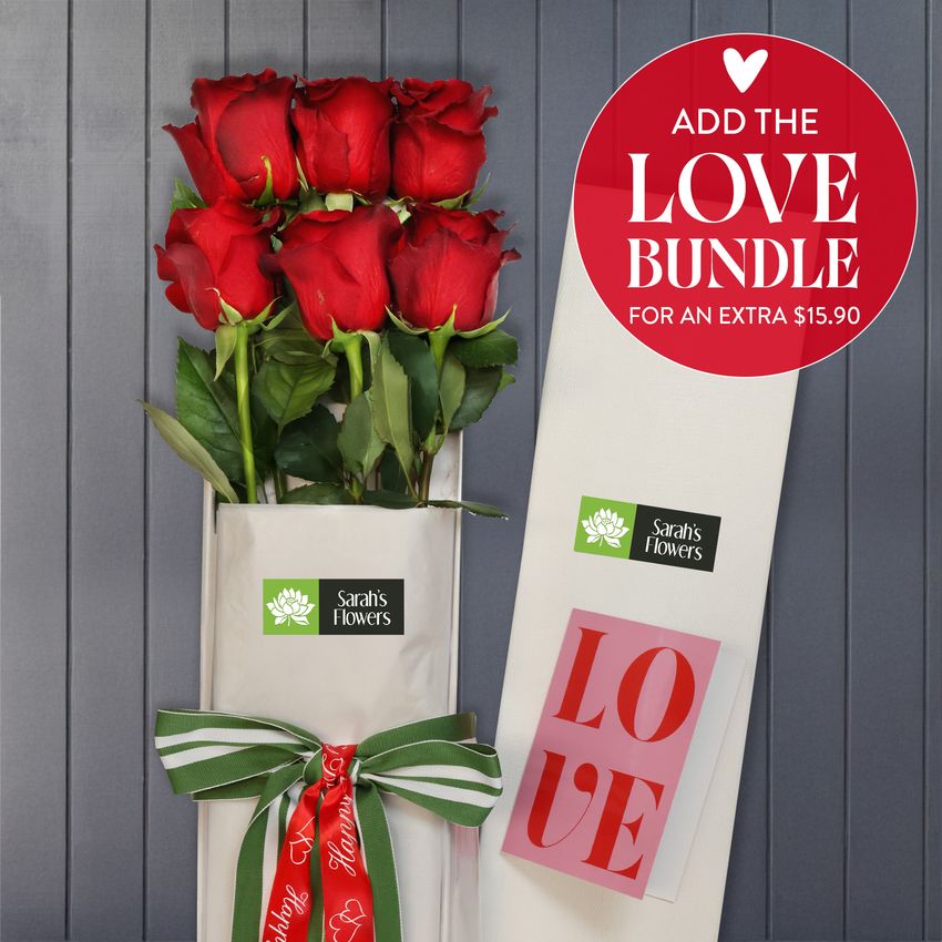 6 Red Roses