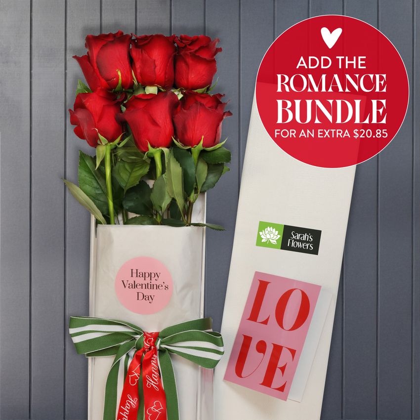 6 Red Roses