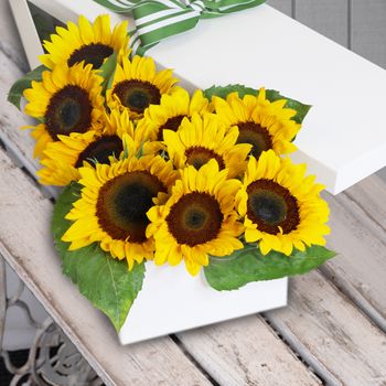 10 Radiant Sunflowers Flowers