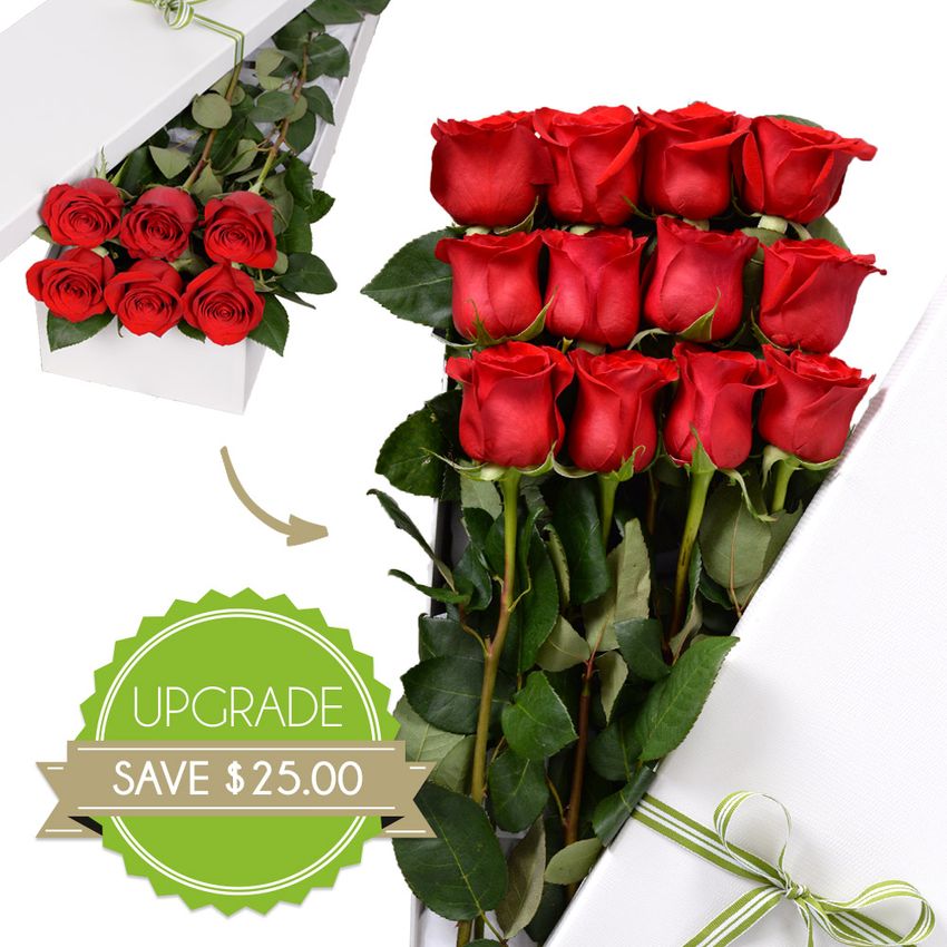 12 Red Roses - Free Half Dozen