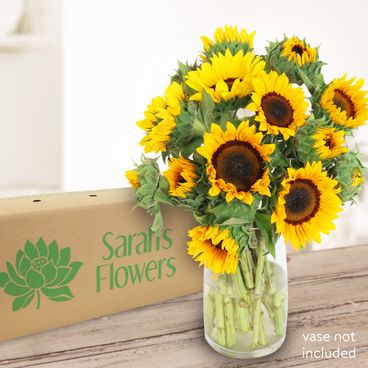 Golden Sunshine Flowers