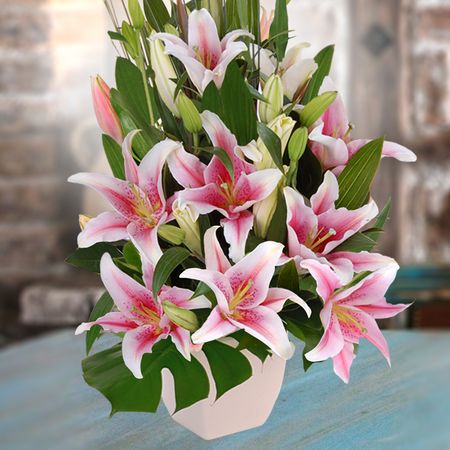 Lush Lilies Pink with Chocs