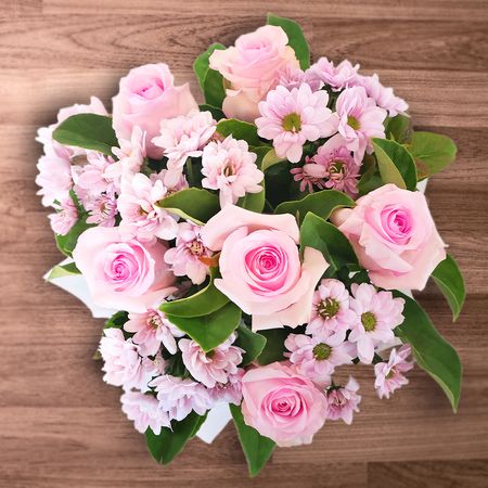 Pastel Pink with Card Special