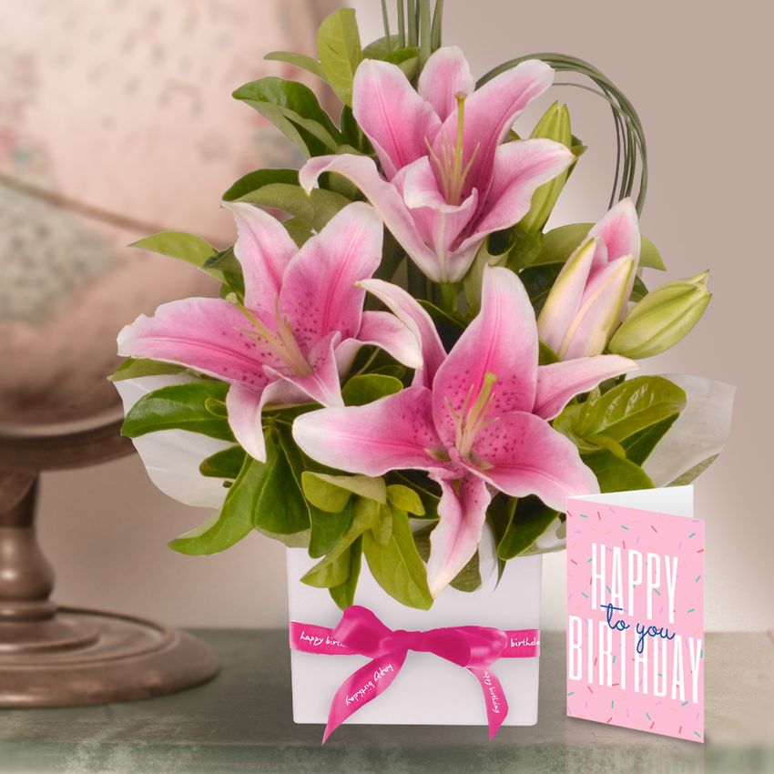 Pink Oriental Birthday Bundle