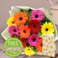 Bright Gerberas Card Special Flowers