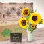 Sunny Delight With Chocs Flowers