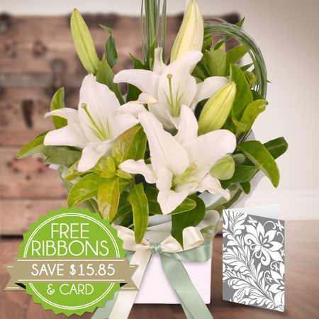 White Oriental Special Gift Bundle