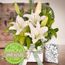 White Oriental Special Gift Bundle Flowers