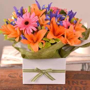 Colourful Box Flowers