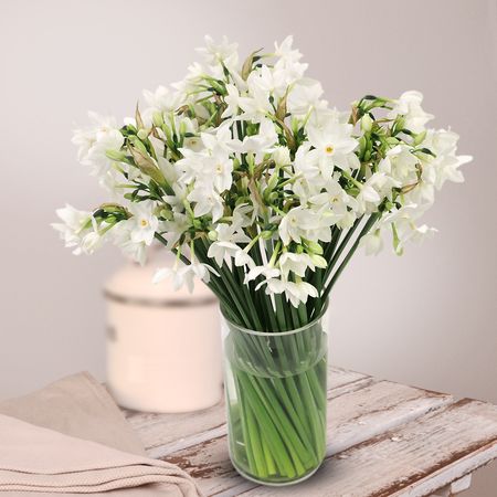 Fairy Garden in Vase