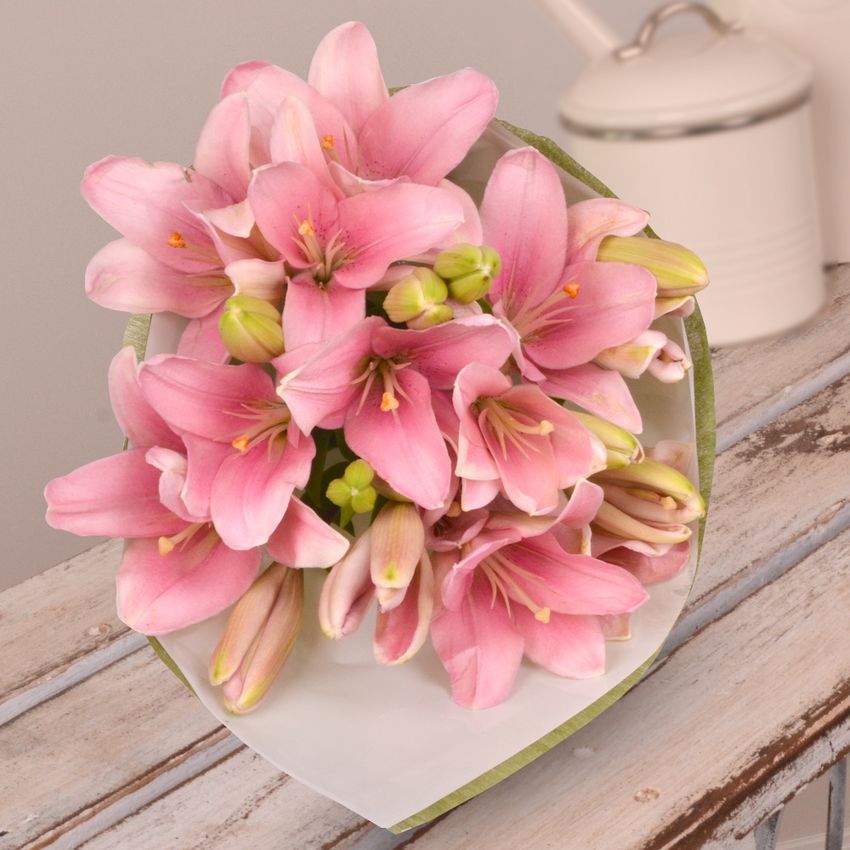 Lilies in Pink With Photo & Chocs