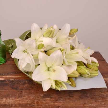 Lilies in White