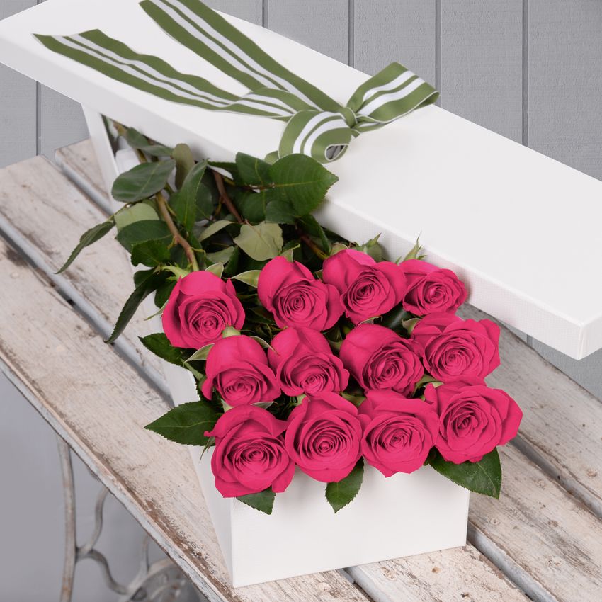 12 Pink Roses