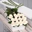 Valentine's Day 12 White Roses Flowers