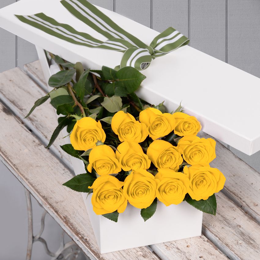 12 Yellow Roses
