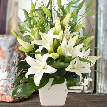 Lush lilies White Flowers