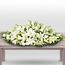 Peaceful Lilies Premium Flowers