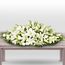 Peaceful Lilies Premium Flowers