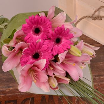 Pink Blossom Flowers