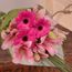 Pink Blossom Flowers