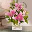 Pink Oriental Flowers