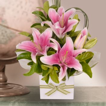 Pink Oriental Flowers