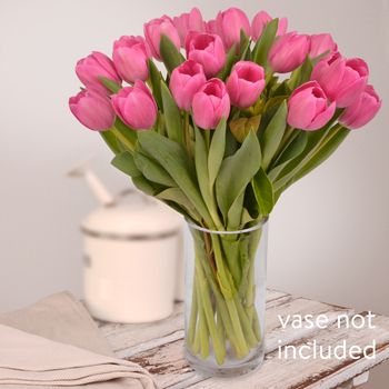 Pink Tulips Flowers