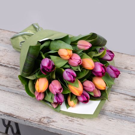 Rainbow Tulips 20