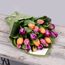 Rainbow Tulips 20 Flowers