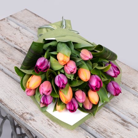 Rainbow Tulips 20