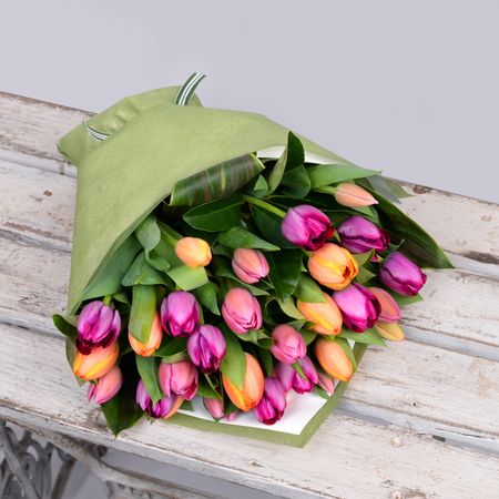 Rainbow Tulips 30