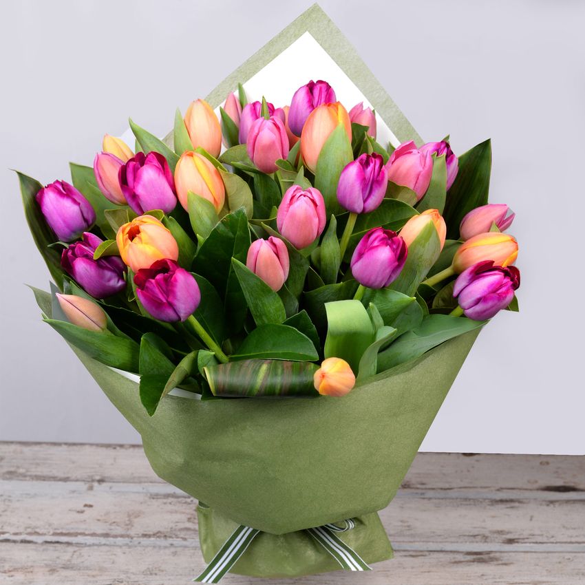 Rainbow Tulips 30