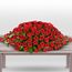 Red Roses Casket Premium Flowers