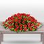 Red Roses Casket Standard Flowers