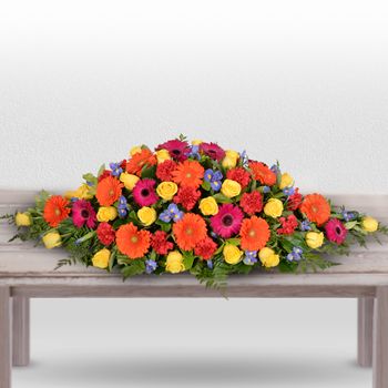 Seasonal Brights Premium Flowers