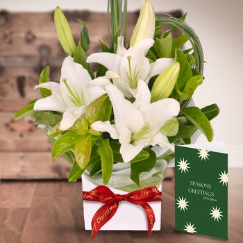 White Oriental Christmas Bundle Flowers