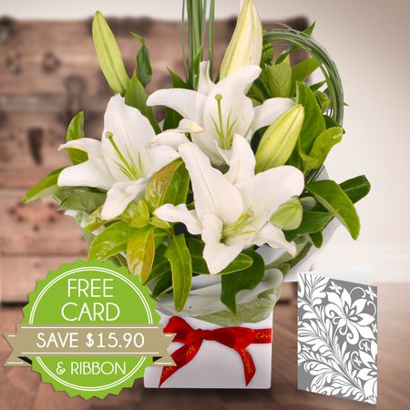 White Oriental With Card And Christmas Ribbon