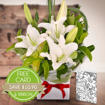 White Oriental With Card And Festive Ribbon Flowers