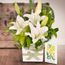 White Oriental with Sympathy Card Flowers