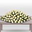 White Roses Casket Premium Flowers